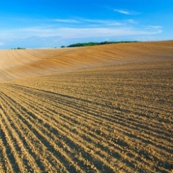 In cultivated fields to protect your crops and seeds… 