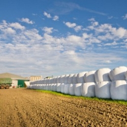 Agricultural tarpaulins for silage, corn, etc. 