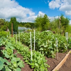 For gardens an gardening, 